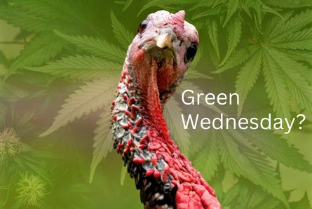 Green Wednesday: The Cannabis Black Friday? - DynaVap